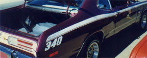 71-72 Duster Side Stripe