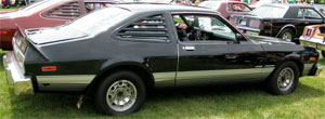 79 roadrunner stripe kit