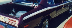 71 Duster Side Stripe