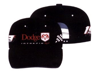 Dodge #19 Evernham Cap